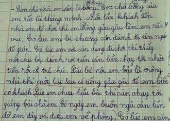 Bài văn tả cún cưng biết nhặt tiền, giảng bài, đỡ chủ dậy khiến dân mạng... lú luôn!