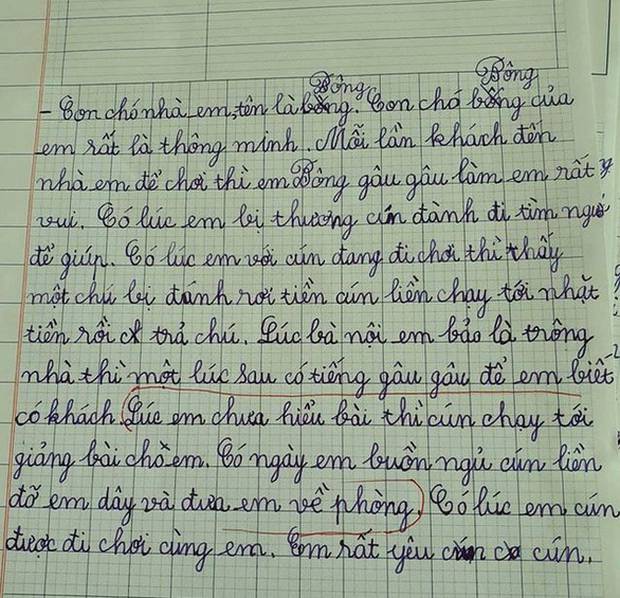 Bài văn tả cún cưng biết nhặt tiền, giảng bài, đỡ chủ dậy khiến dân mạng... lú luôn!