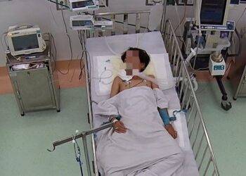 Bé trai 13 tuổi ở Bình Dương bị rắn cạp nia cắn khi đang ngủ