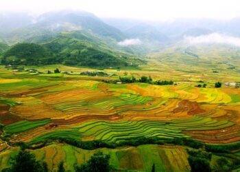 Chuyên gia du lịch gợi ý những tọa độ "săn" lúa chín vàng đẹp nhất tháng 8