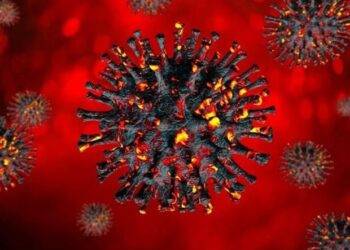 Cục Y tế dự phòng đính chính thông tin về biến thể mới xuất hiện tại Việt Nam