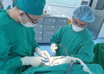 Đinh vít cắm vào đầu bé 12 tháng tuổi