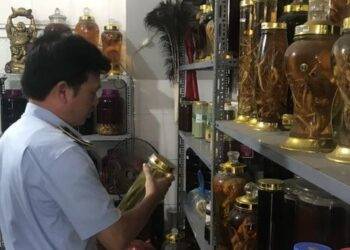 Hà Nội: Thu giữ gần 650 lít rượu không rõ nguồn gốc xuất xứ