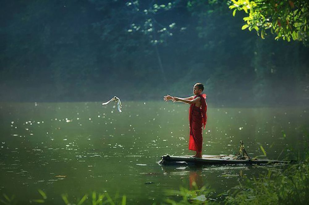 Mù Phật pháp, phóng sinh thành sát sinh Mù Phật pháp, phóng sinh thành sát sinh