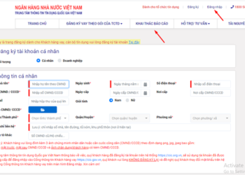 Nghi ngờ bị đánh cắp thông tin CCCD/CMND để vay nợ, người dân có thể kiểm tra bằng các cách sau