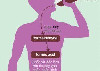 Ngộ độc rượu, tử vong nhanh