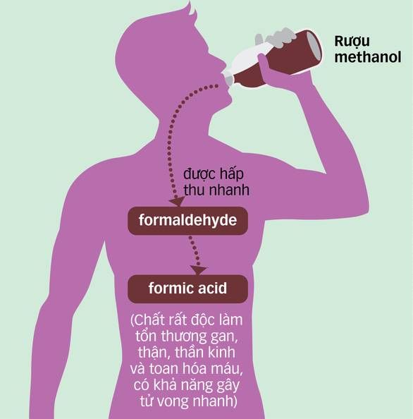 Ngộ độc rượu, tử vong nhanh