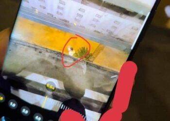 Ngoại tình bị bắt lại xúi mẹ gọi điện cho thông gia yêu cầu dạy lại con gái, cả họ nhà chồng muối mặt với màn 'phản dame full bằng chứng' của cô vợ trẻ