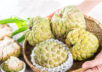 Những lưu ý không nên bỏ qua khi ăn quả na