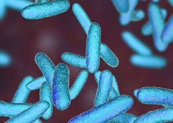 Phát triển thuốc mới chống được 300 loại vi khuẩn kháng kháng sinh