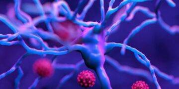 SARS-CoV-2 giết chết tế bào não, các nhà khoa học có tìm ra cách chữa?