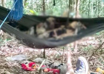 Tá hoả phát hiện 2 thi thể chỉ còn xương trên võng trong rừng