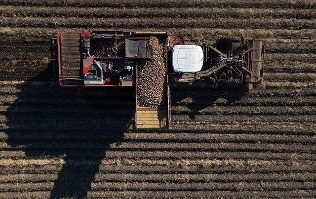 Tại sao phương Tây bất ngờ nới lỏng 'cánh cửa ngành công nghiệp hạt giống' đối với Nga?