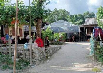 Thêm trường hợp tử vong sau 3 tháng bị chó dại cắn