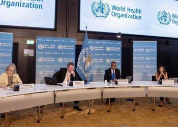 WHO công bố tên 2 biến chủng đậu mùa khỉ, bệnh sẽ có tên mới