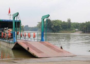 Xử lý chủ phương tiện cho cháu bé 12 tuổi lái phà chở khách qua sông