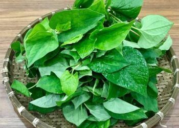 5 loại thực phẩm chống viêm tốt, ăn mỗi ngày để tăng cường đề kháng, sống thọ hơn