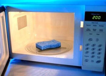 7 công dụng thần thánh của lò vi sóng rất ít người biết