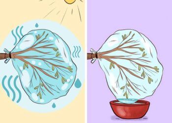 7 kỹ năng sinh tồn rất cần cho người đi phượt