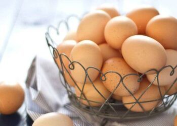 an 1 qua trung moi ngay chong duoc 2 kieu tai bien dang so nhat 1 Ăn trứng gà thế nào cho đúng cách? Ăn 1 quả trứng mỗi ngày chống được 2 kiểu tai biến đáng sợ nhất