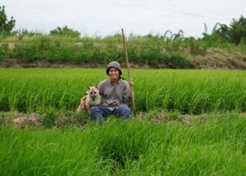 Có nên bỏ phố về quê lập nghiệp?