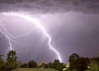 Đang cắt cỏ trong rừng thông, người đàn ông bị sét đánh tử vong