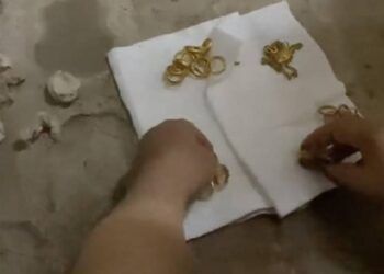 Đào góc nhà theo lời cụ ông, con cháu tìm thấy cả một gia tài 7 cây vàng