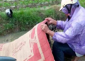 Đi xe máy dưới trời mưa dông, 2 người đàn ông bị sét đánh thương vong