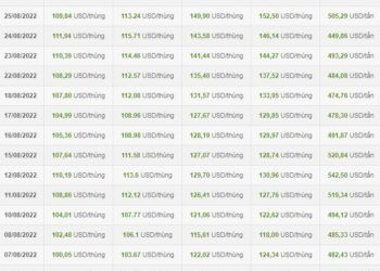 Giá xăng sẽ tiếp tục giảm mạnh sau kỳ nghỉ lễ?