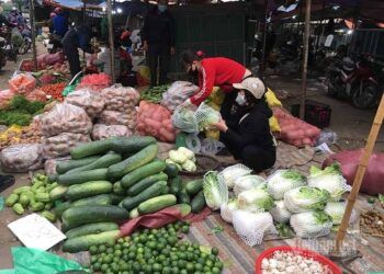 Giật mình với chất lượng rau xanh ở chợ và siêu thị