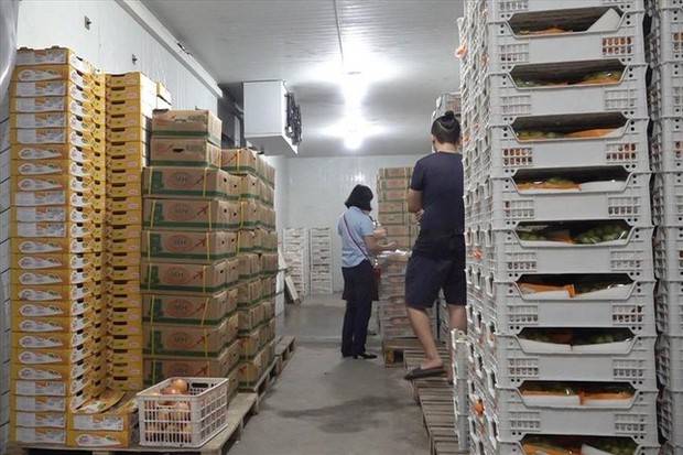 Hà Nội xử lý hàng loạt cửa hàng bán hoa quả nhập khẩu