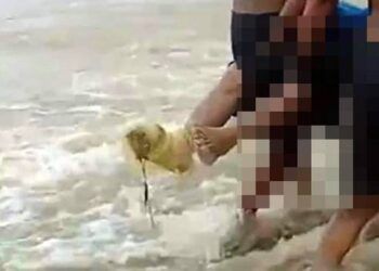 Nghệ An: Đã tìm thấy thi thể 2 vợ chồng bị nước lũ cuốn trôi tại huyện Nghi Lộc