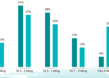 Người Việt Nam dành bao nhiêu tiếng mỗi ngày sử dụng Internet?