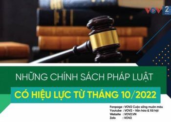 nhung chinh sach phap luat co hieu luc tu thang 102022 Nhiều chính sách pháp luật nổi bật bắt đầu có hiệu lực từ tháng 10/2022 Những chính sách pháp luật có hiệu lực từ tháng 10/2022