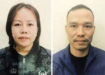 Phá đường dây tổ chức mang thai hộ cho những ông bố trẻ đơn thân