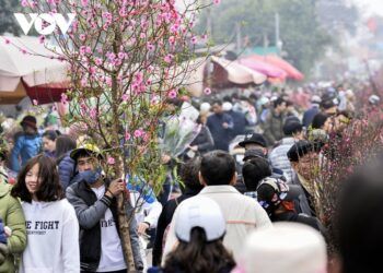 Thêm đề xuất nghỉ Tết Nguyên đán Quý Mão (2023) từ ngày 28 Âm lịch