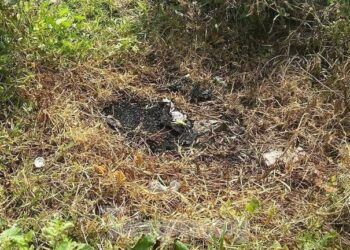 Tình tiết mới vụ thi thể bị đốt ở Bình Dương