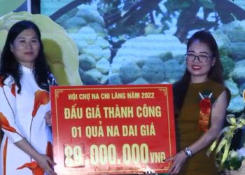 Vì sao 3 quả na có giá tới 159 triệu đồng?