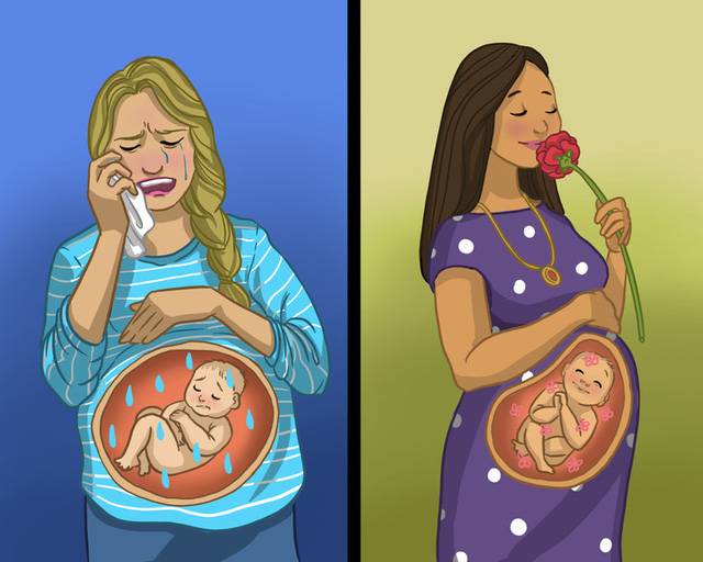 7 sự thật thú vị về thai nhi mà không phải ai cũng biết