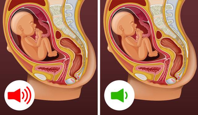 7 sự thật thú vị về thai nhi mà không phải ai cũng biết