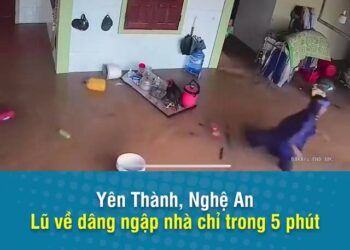 Nghệ An: Xót xa nhìn cảnh nước lũ dâng cao, ngập nhà chỉ trong vài phút