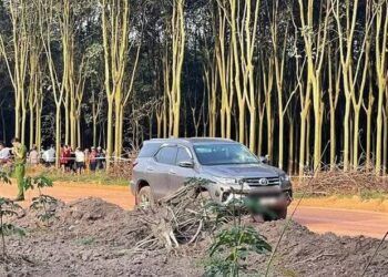 Bình Phước: Án mạng khó tin giữa rẫy cao su