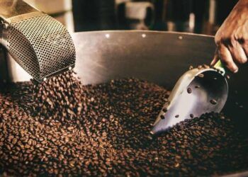 Cà phê rang đậm có nhiều caffeine hơn cà phê rang nhạt không?