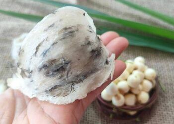 Cách chưng chè tổ yến hạt sen với gừng bổ dưỡng cho ngày se lạnh