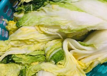 Cách làm kim chi cải thảo đơn giản cho bữa cơm nhà tròn vị