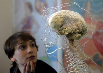 Con người sử dụng bao nhiêu % bộ não