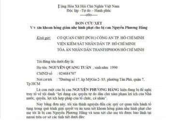 Con trai bà Nguyễn Phương Hằng gửi đơn xin giảm nhẹ hình phạt cho mẹ: 'Mẹ tôi đã nhận thức sai phạm'