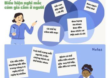 Đâu là những biểu hiện nghi mắc cúm gia cầm ở người?