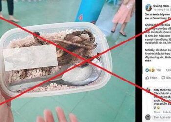 Giám đốc công ty bị phạt 7,5 triệu vì đăng tin học sinh ăn thịt chuột