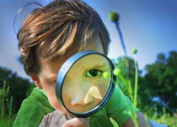 Giáo sư Mỹ phát hiện ra rằng trẻ có IQ cao sẽ có 4 biểu hiện này trước 5 tuổi